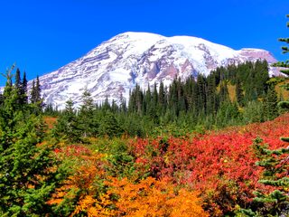 20210215000142-Mount Rainier.jpg